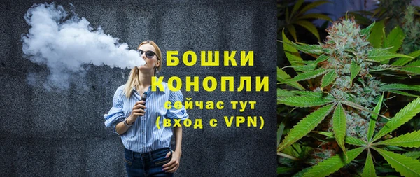 крисы Горно-Алтайск