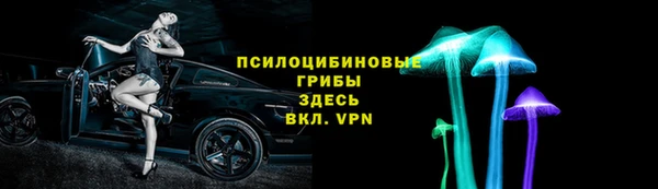 крисы Горно-Алтайск