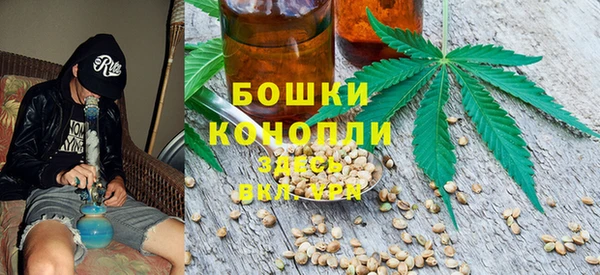 2c-b Горнозаводск