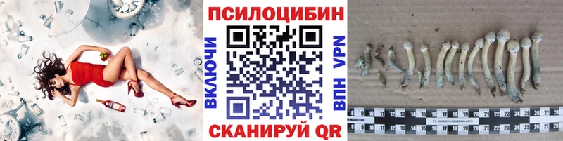 Галлюциногенные грибы прущие грибы где продают наркотики Изобильный