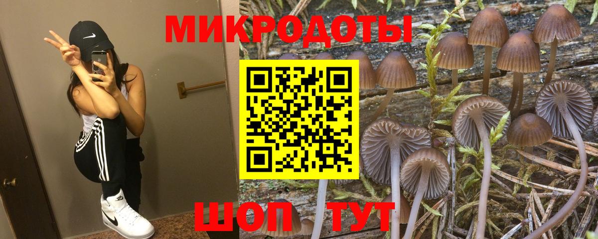 Псилоцибиновые грибы ЛСД Изобильный